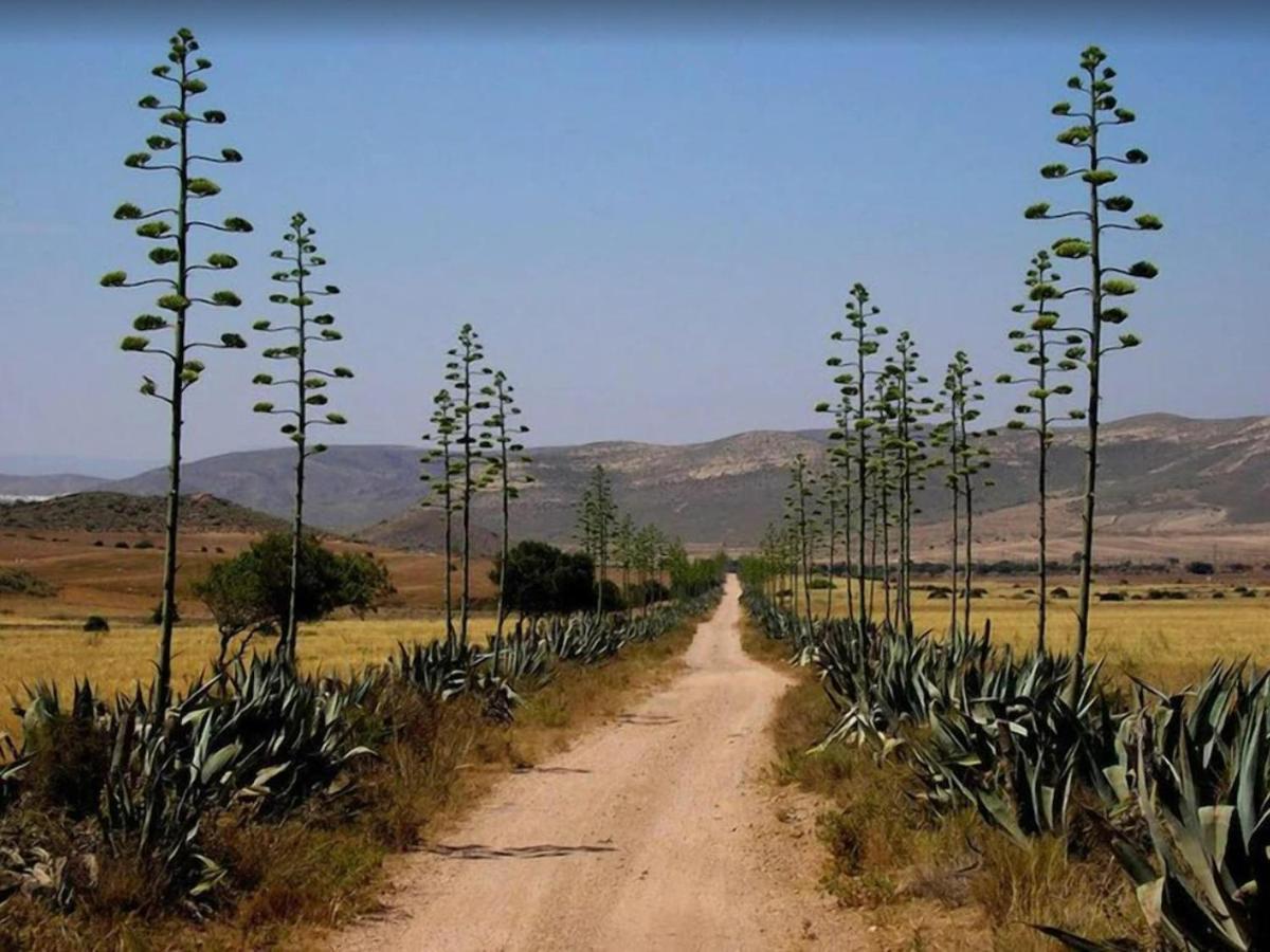 فيلا Casa El Olivo لاس نيغراس المظهر الخارجي الصورة